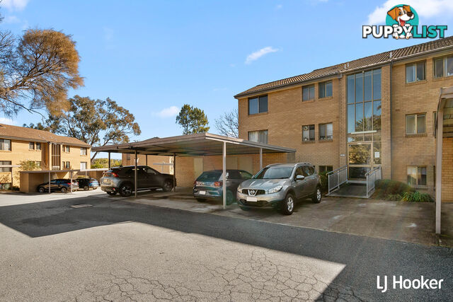 19/10 Wilkins Street MAWSON ACT 2607