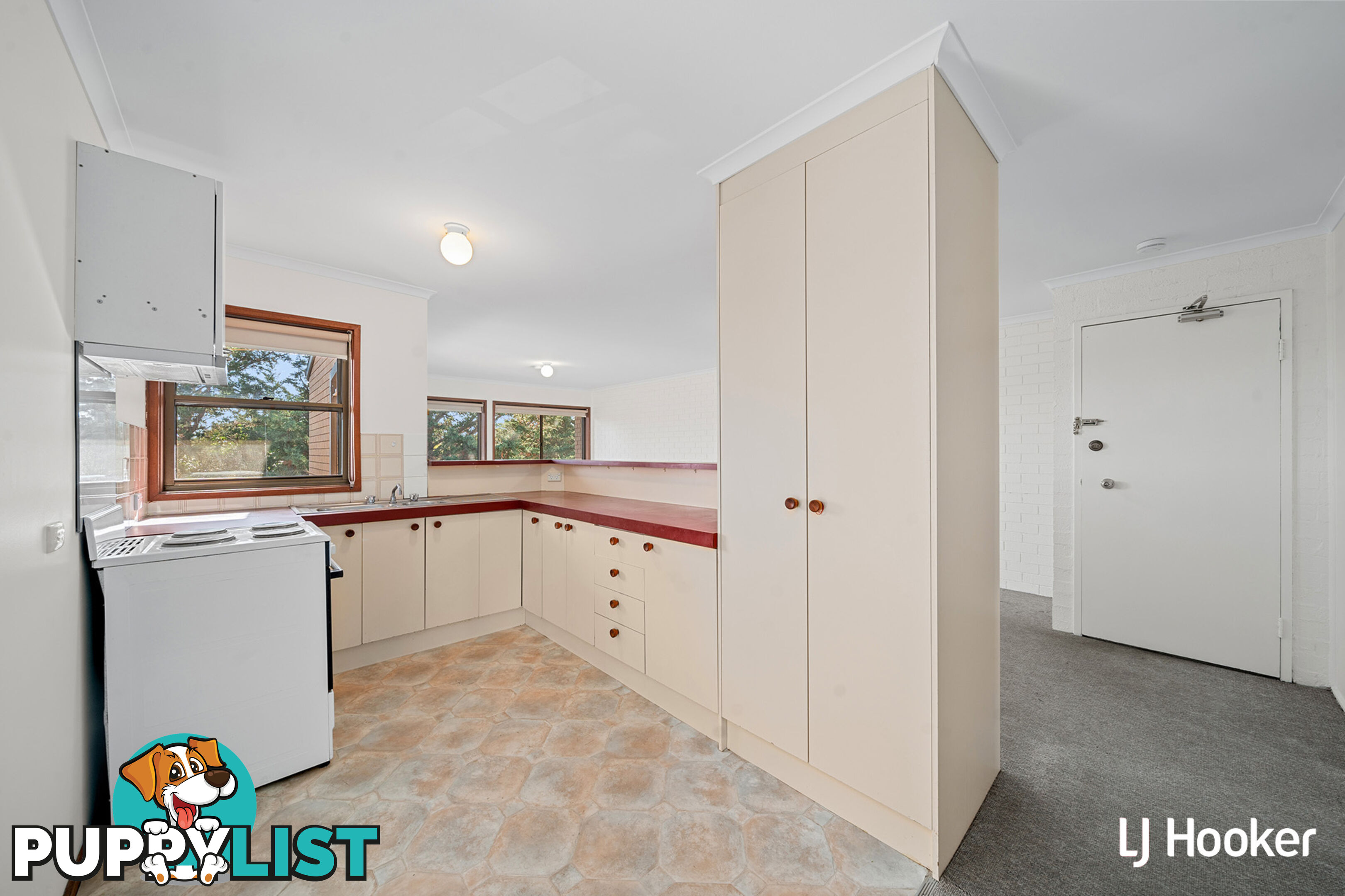 19/10 Wilkins Street MAWSON ACT 2607