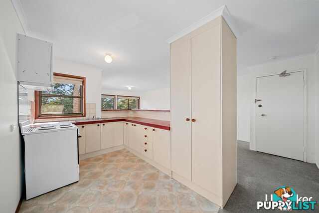 19/10 Wilkins Street MAWSON ACT 2607