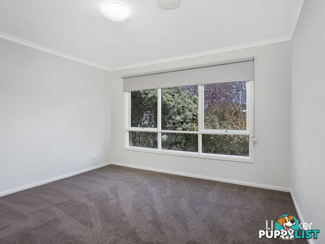 175 Atherton Street DOWNER ACT 2602