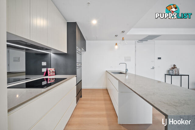 903/45 Ainslie Avenue BRADDON ACT 2612