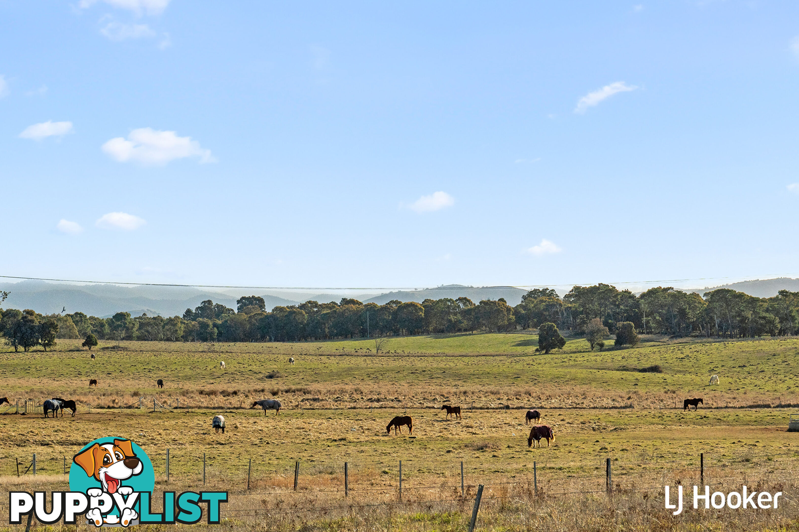 72 Hollows Circuit MACGREGOR ACT 2615