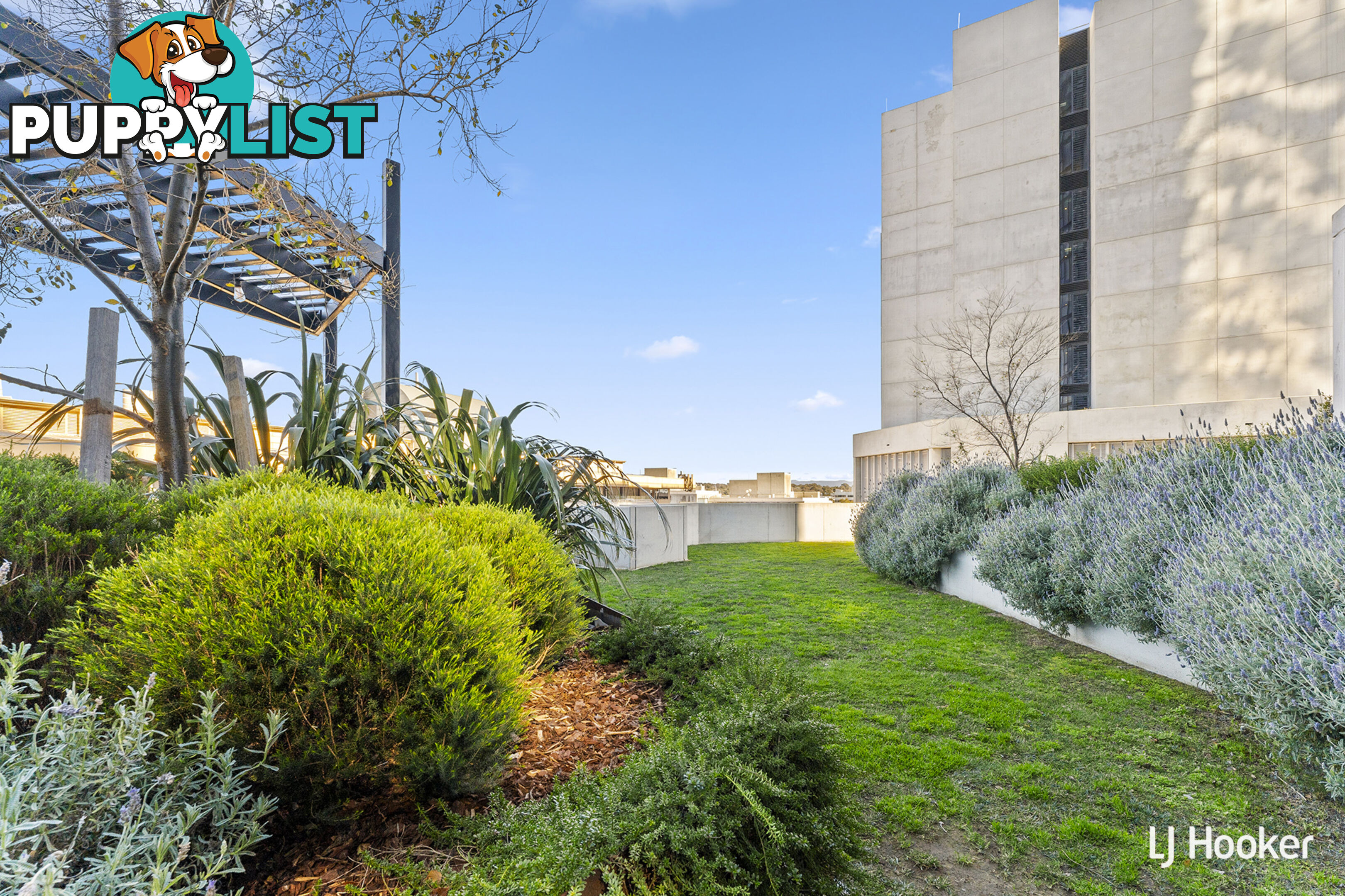 1906/1 Grazier Lane BELCONNEN ACT 2617