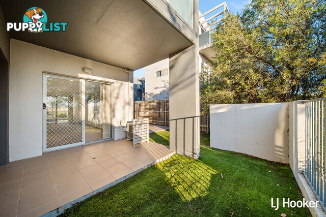 17/75 Elizabeth Jolley Crescent FRANKLIN ACT 2913
