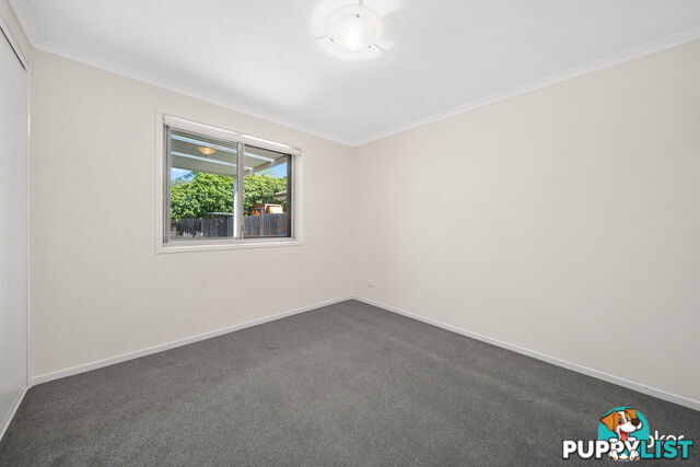 41 Bryan Hudson Street MACGREGOR ACT 2615