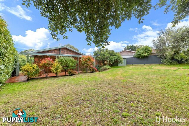 7 Bolliger Place FLOREY ACT 2615