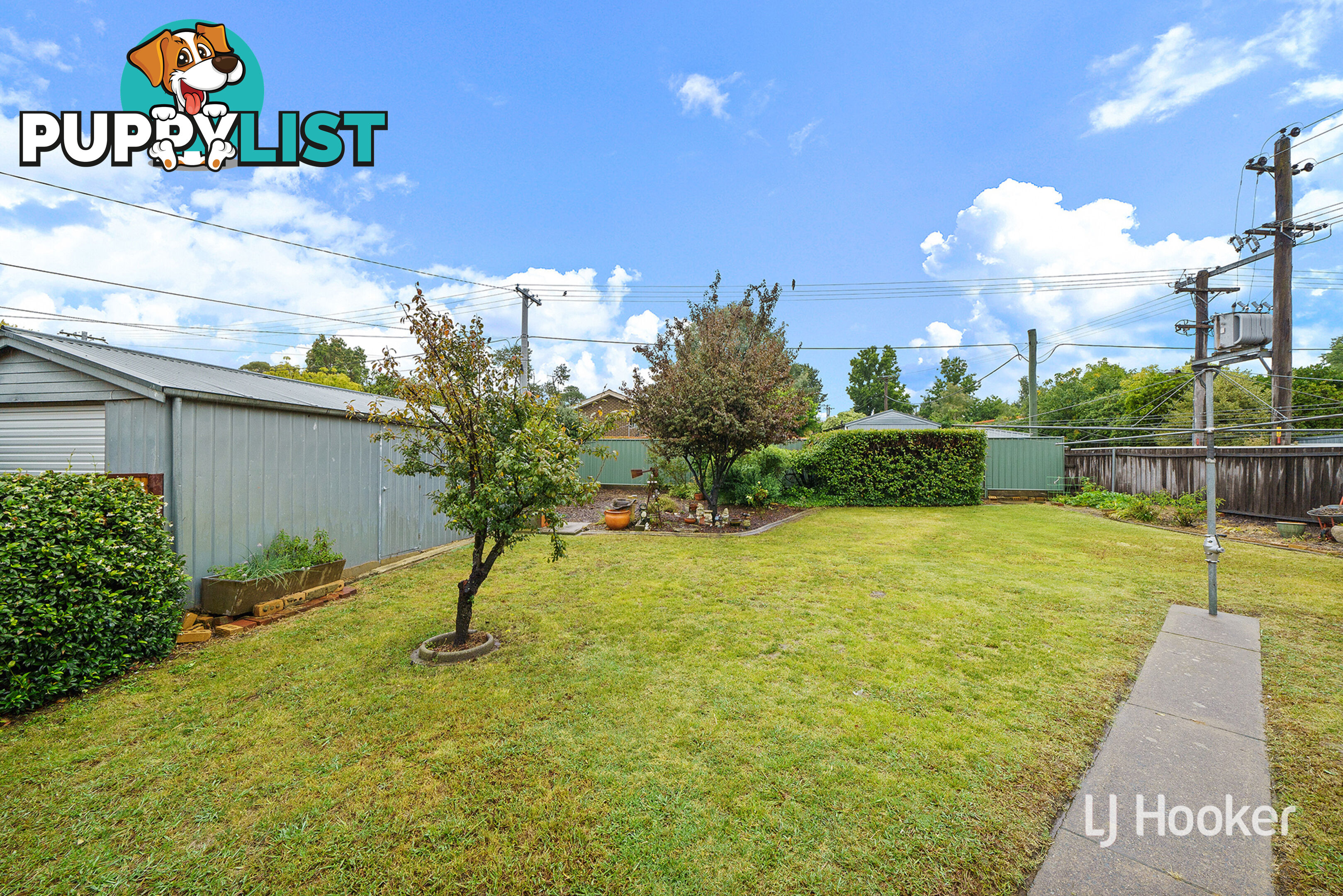 100 Dalley Crescent LATHAM ACT 2615