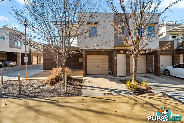 74/64 Kings Canyon Street HARRISON ACT 2914