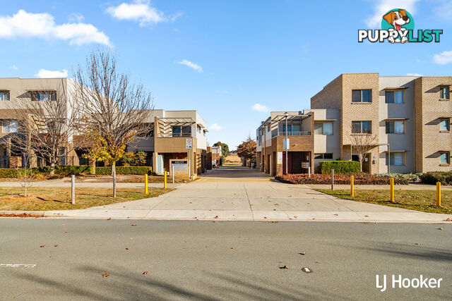 74/64 Kings Canyon Street HARRISON ACT 2914