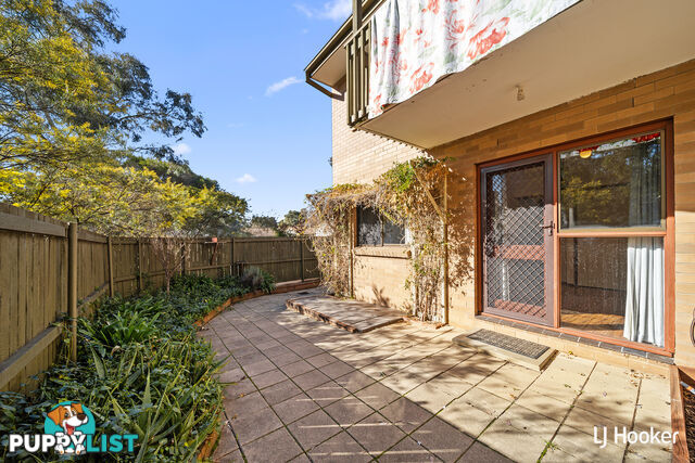 19/14 Playfair Place BELCONNEN ACT 2617