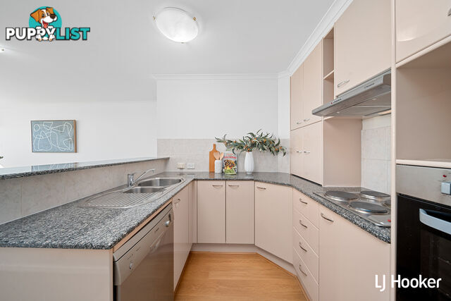 60B/9 Chandler Street BELCONNEN ACT 2617