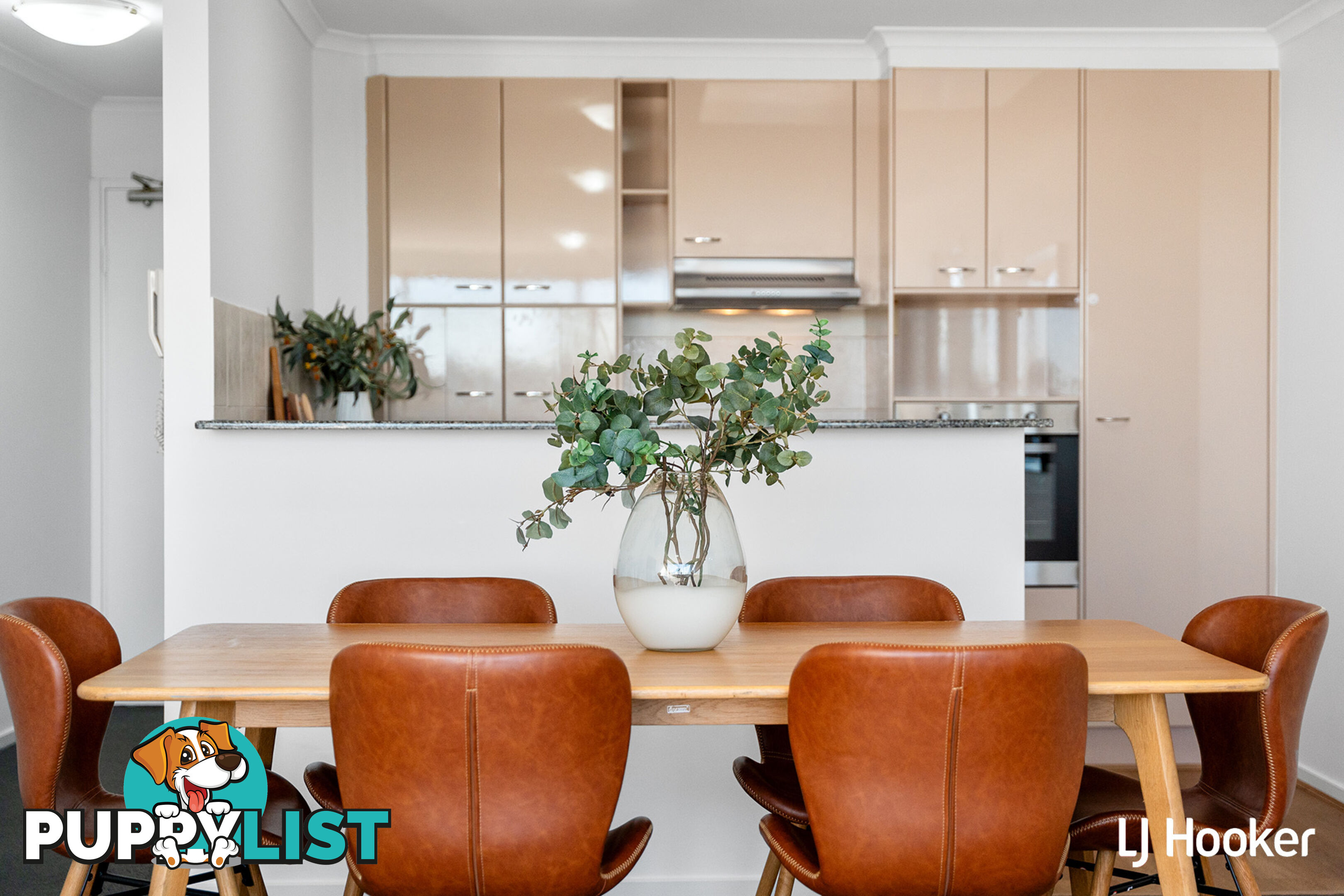 60B/9 Chandler Street BELCONNEN ACT 2617