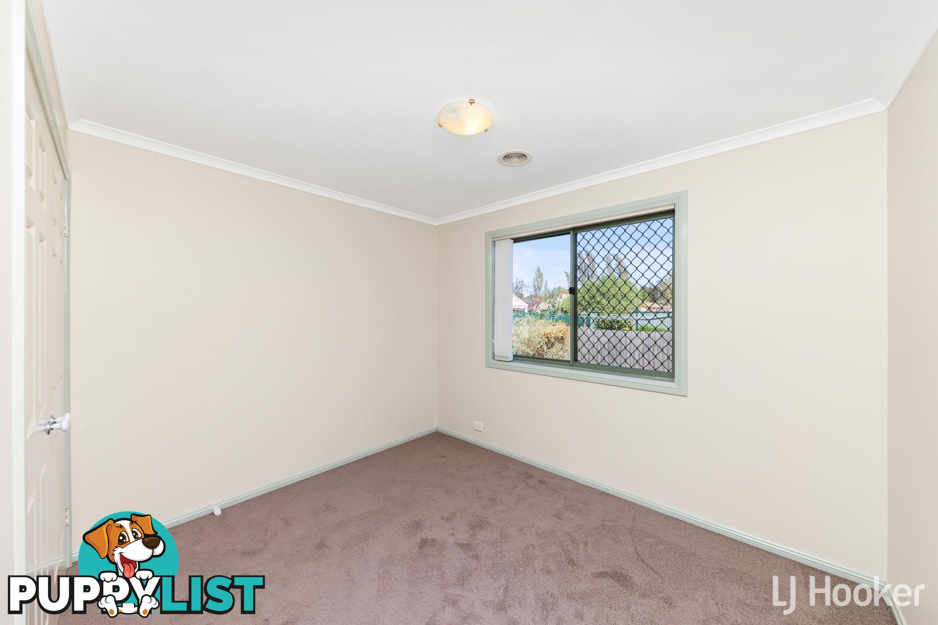 6 Brolga Street NICHOLLS ACT 2913