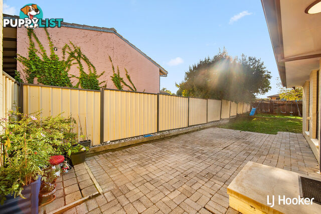 6 Nivison Place CHARNWOOD ACT 2615