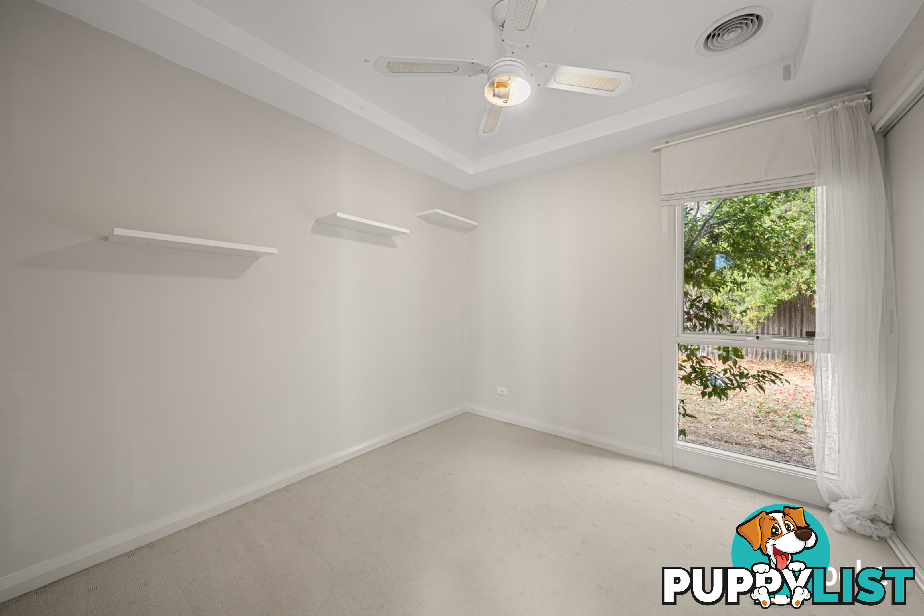 14A Rudall Street LATHAM ACT 2615