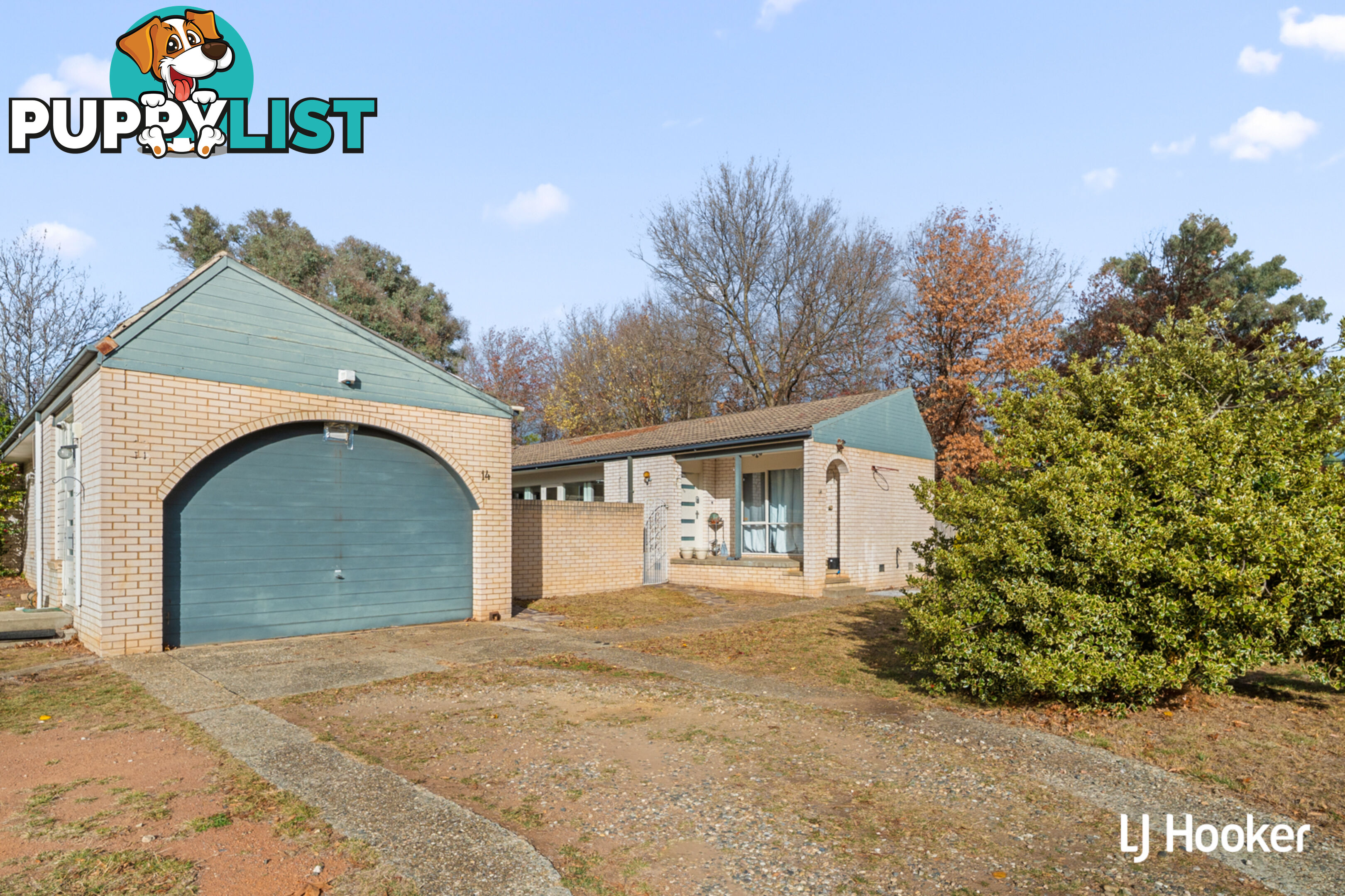 14A Rudall Street LATHAM ACT 2615