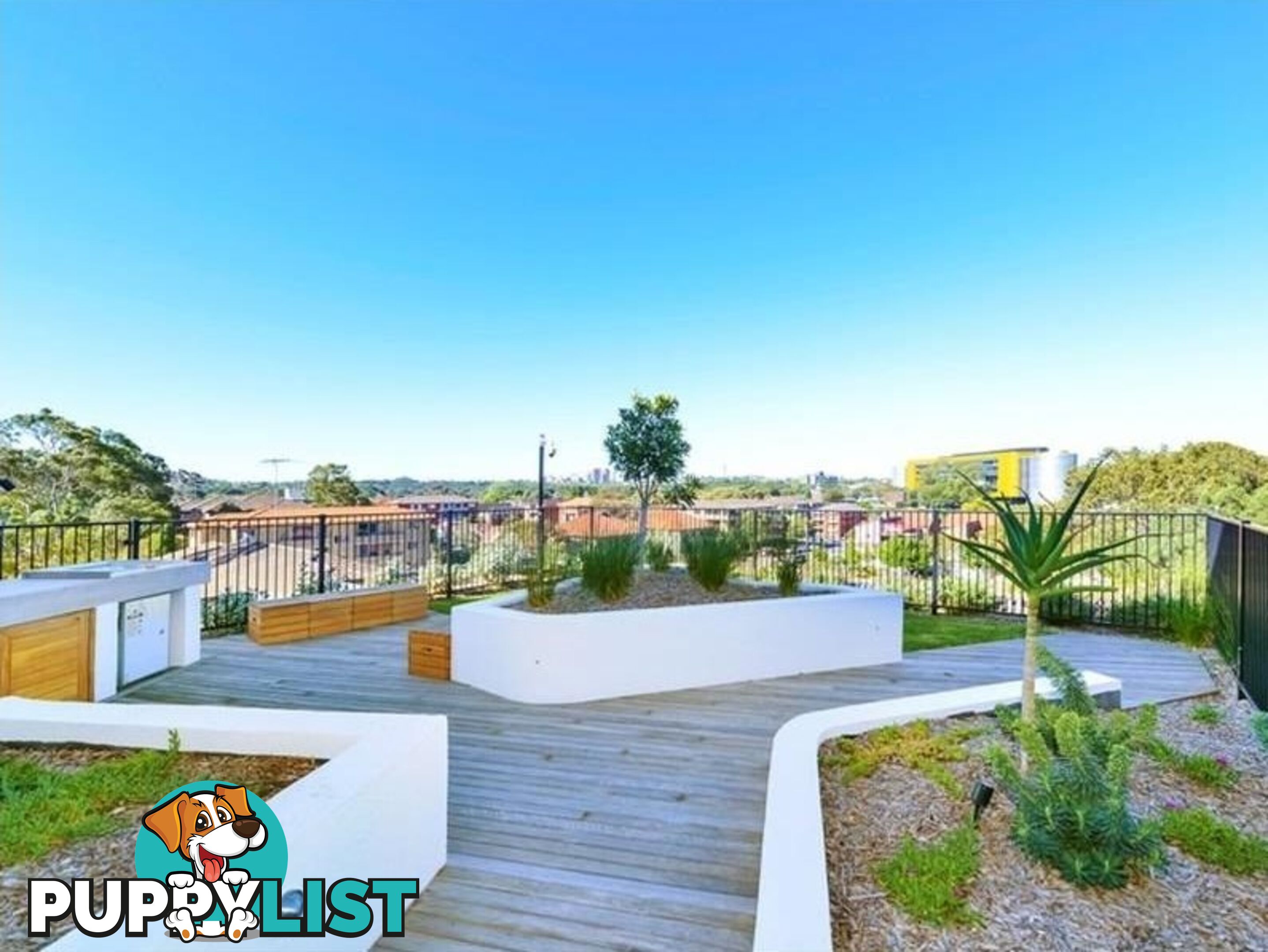 204/9-15 Ascot Street KENSINGTON NSW 2033