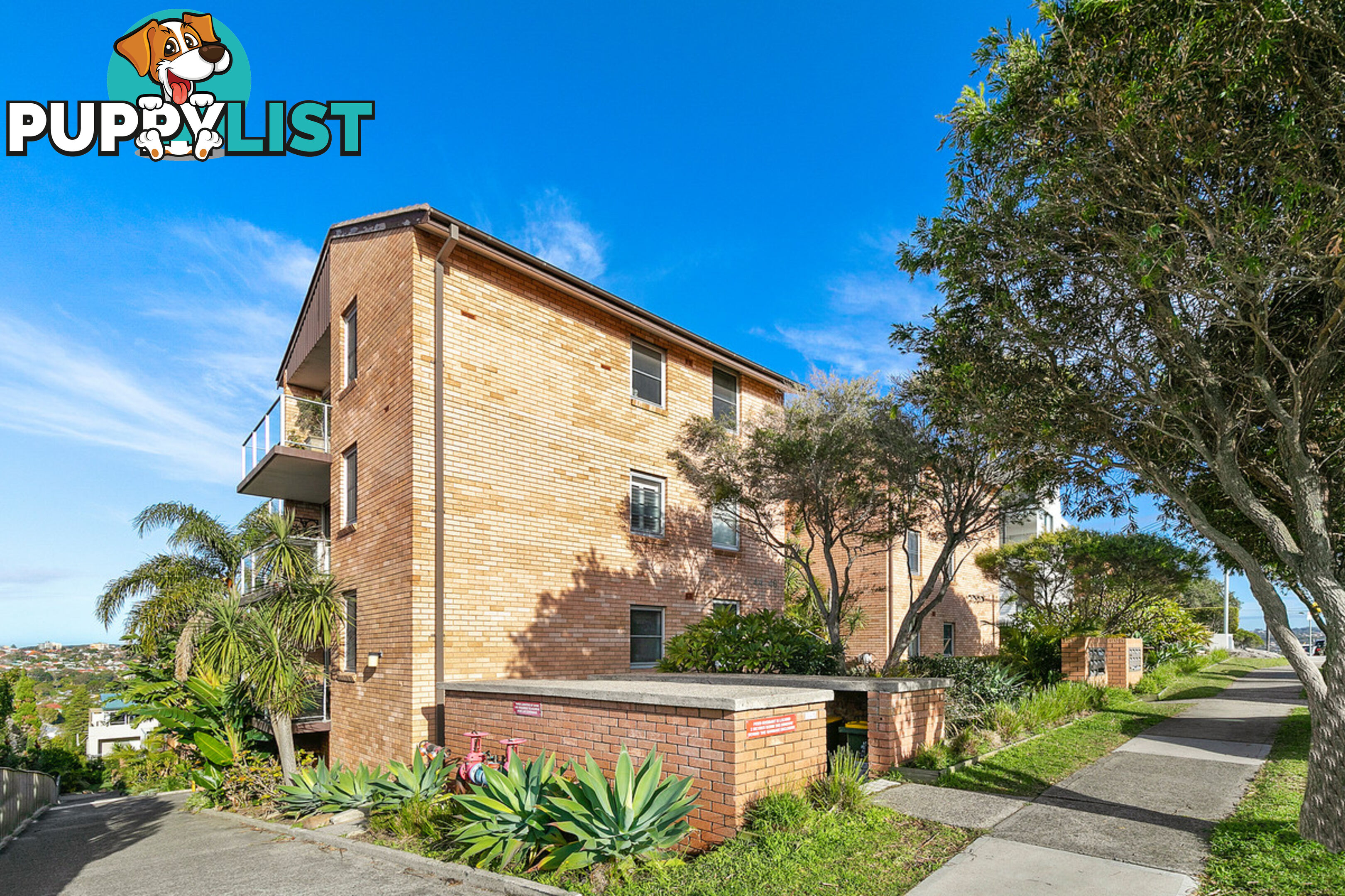 3/44 Crown Road QUEENSCLIFF NSW 2096