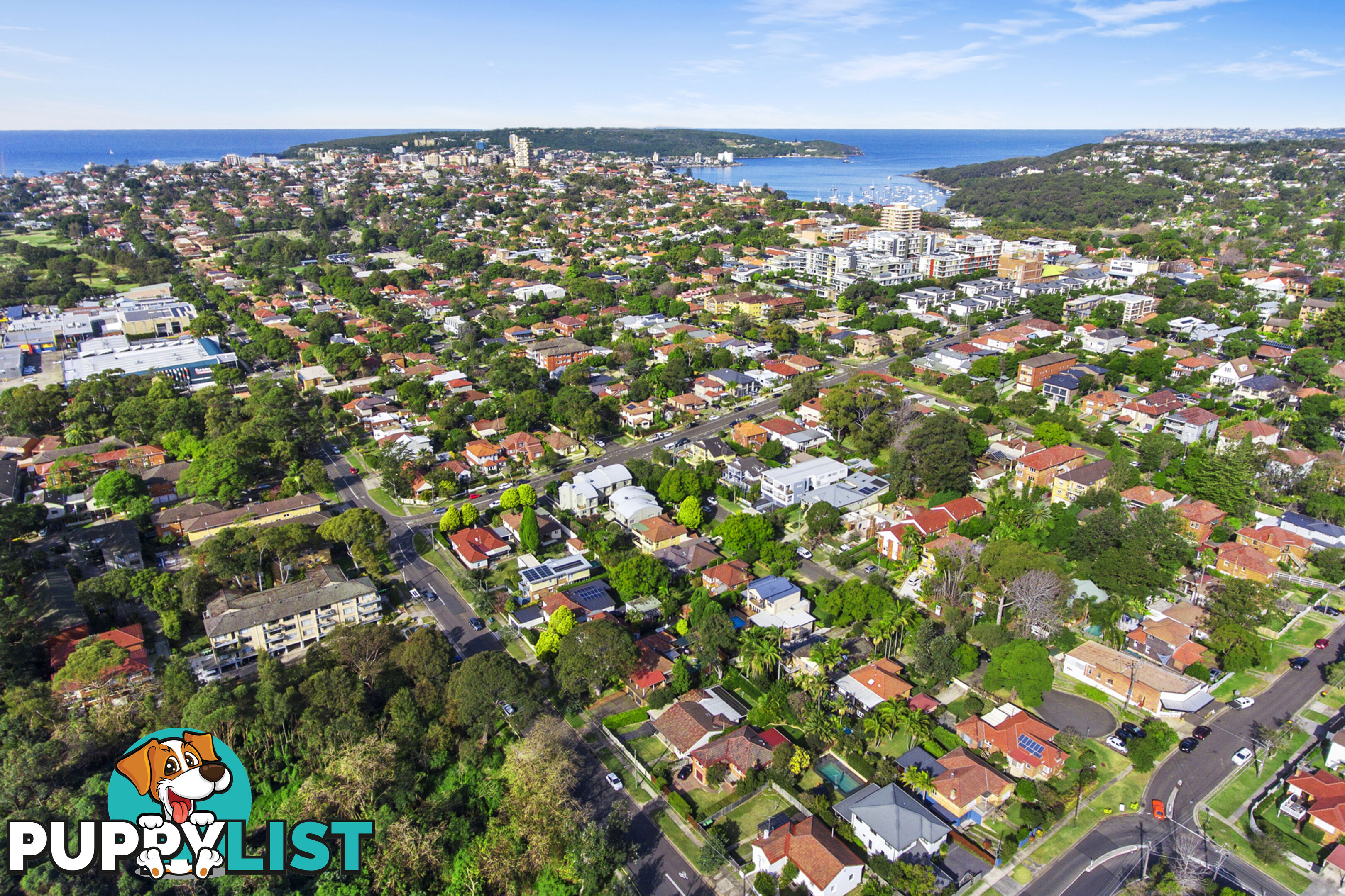 401/3 Sylvan Avenue BALGOWLAH NSW 2093