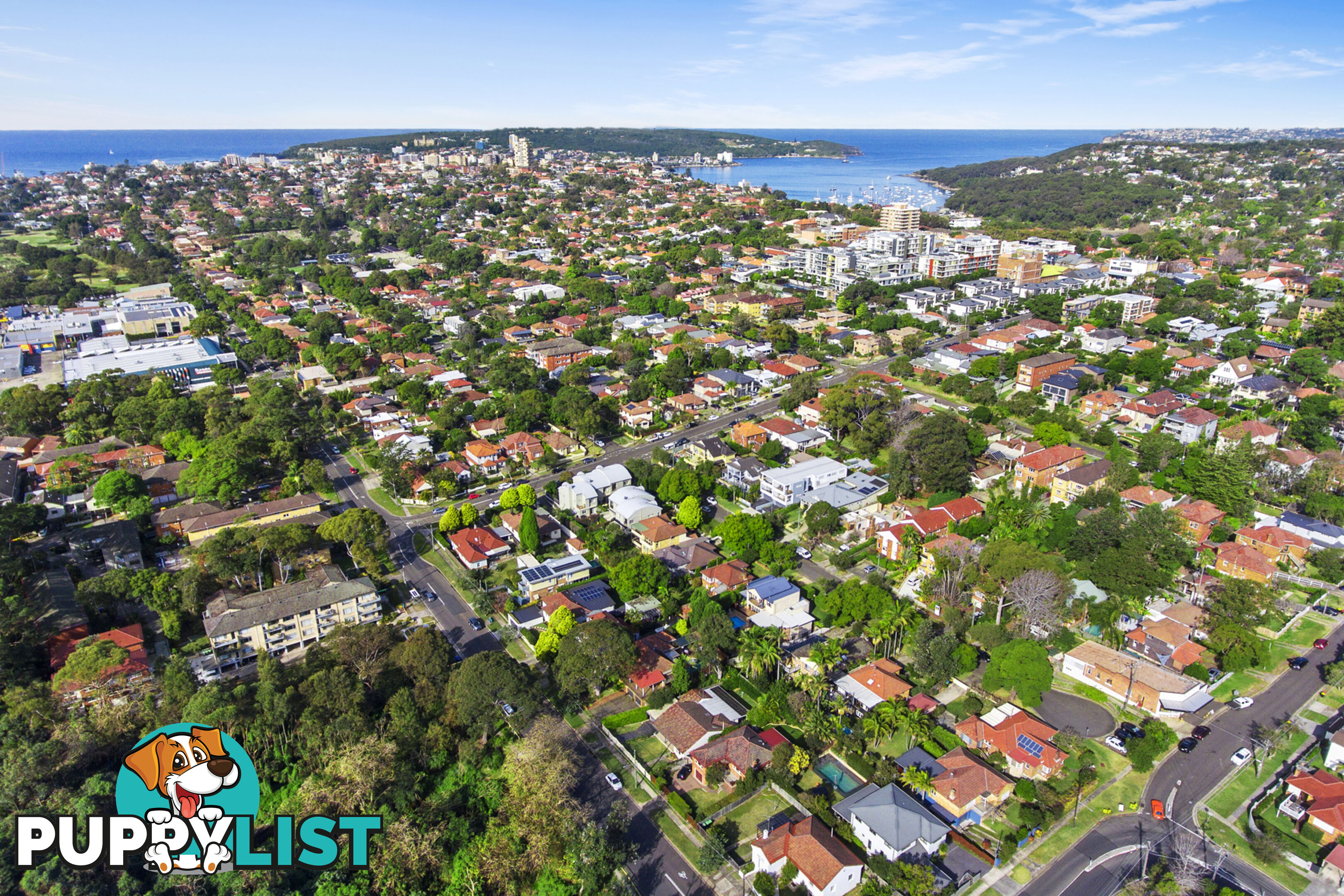 203/4 Sylvan Avenue BALGOWLAH NSW 2093