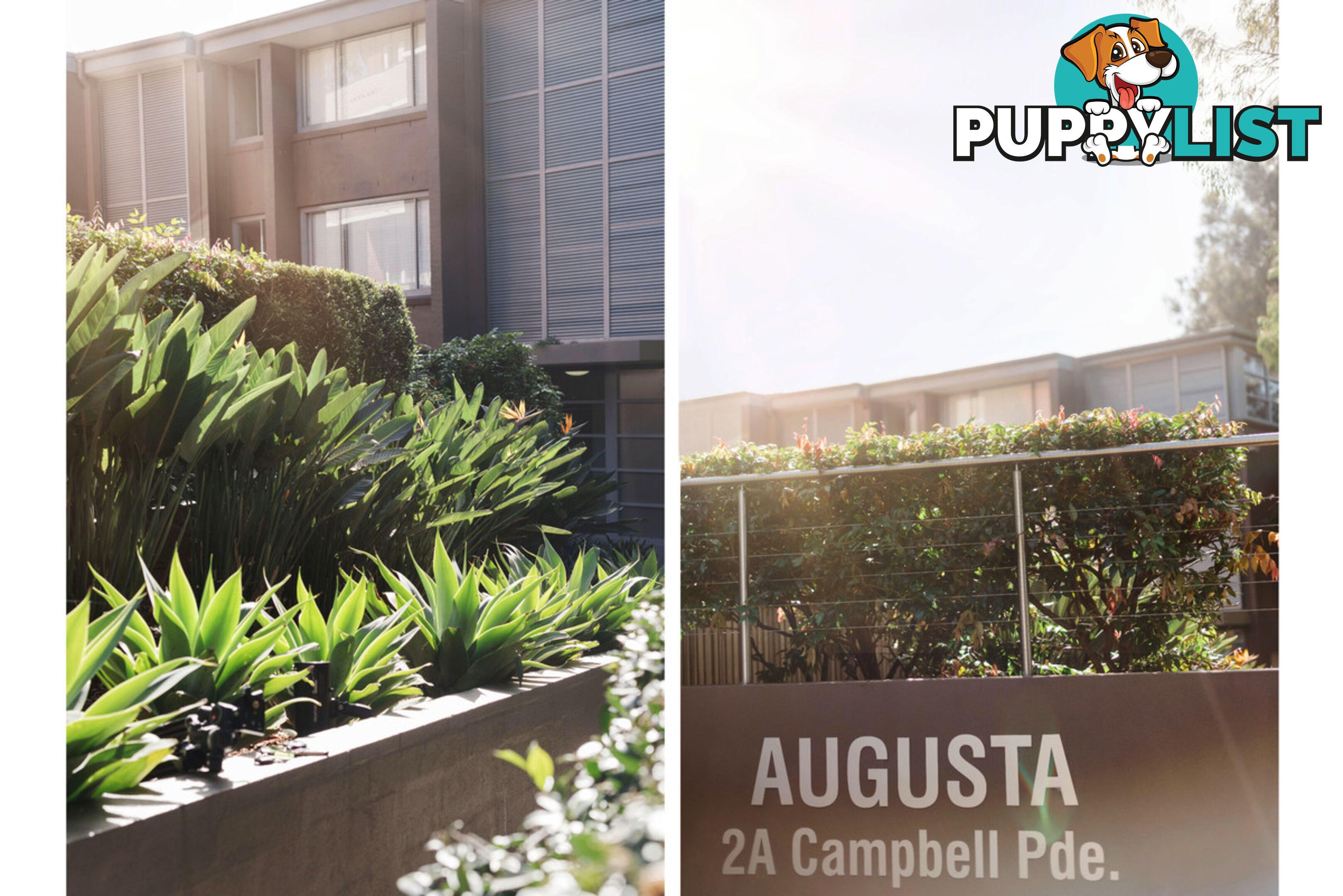 21/2a Campbell Parade MANLY VALE NSW 2093