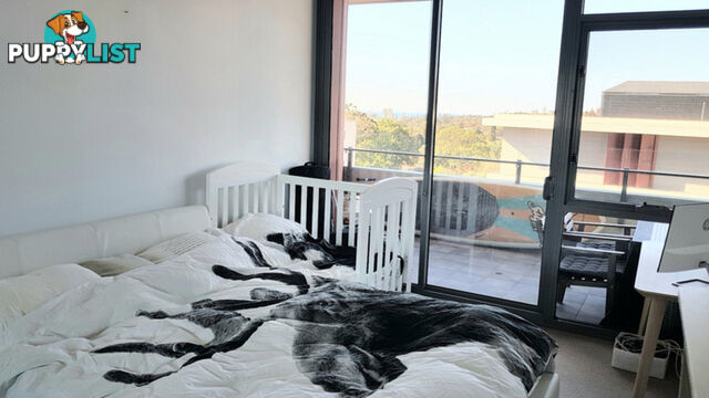 403/9 Sylvan Avenue BALGOWLAH NSW 2093