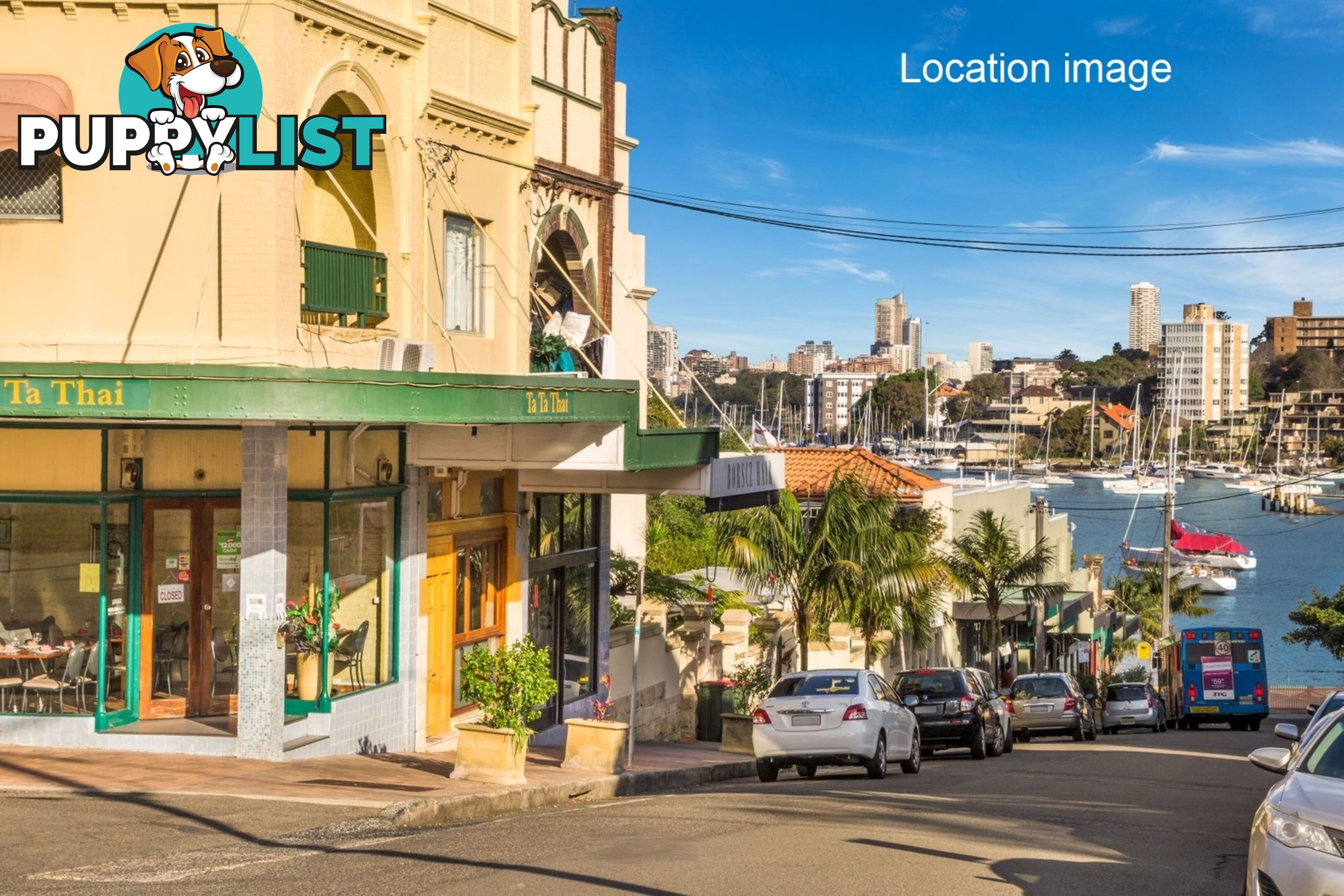 15A Hayes Street NEUTRAL BAY NSW 2089