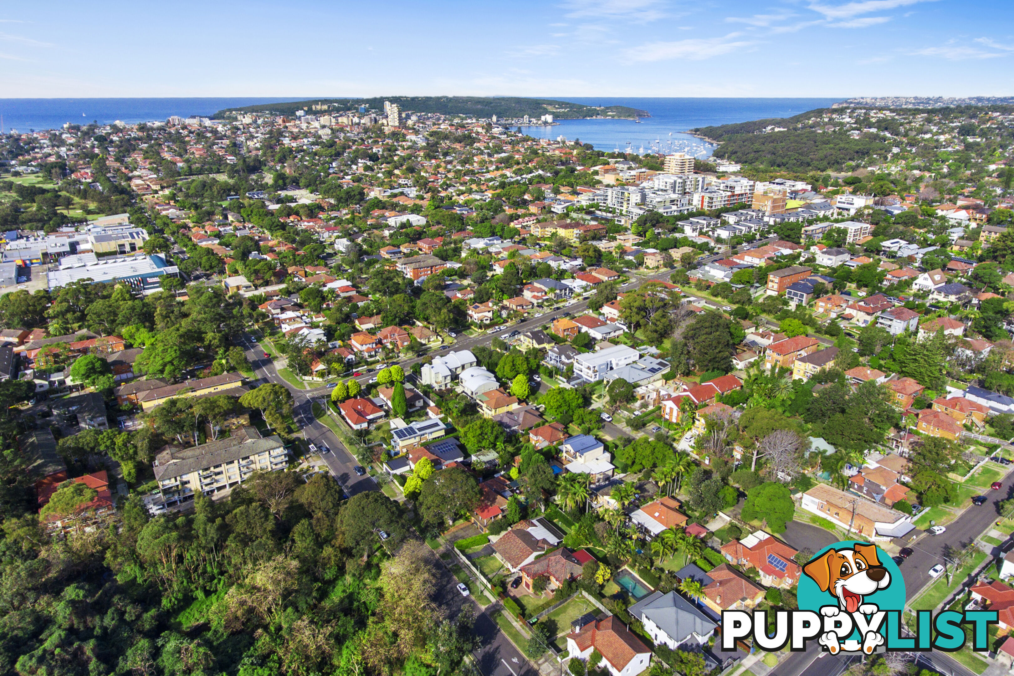 204/9 Sylvan Avenue BALGOWLAH NSW 2093
