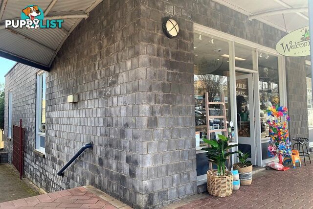 Shop 4, 10 Percy Street Portland VIC 3305