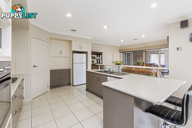 8 Sanford Court Portland VIC 3305