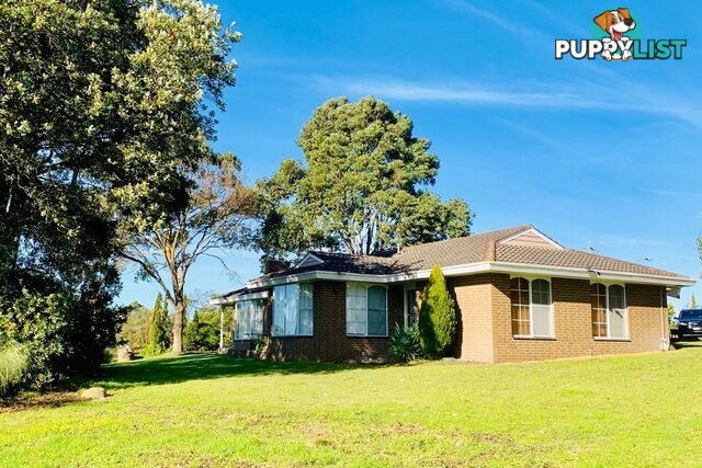 64-68 Trangmar Street Portland VIC 3305
