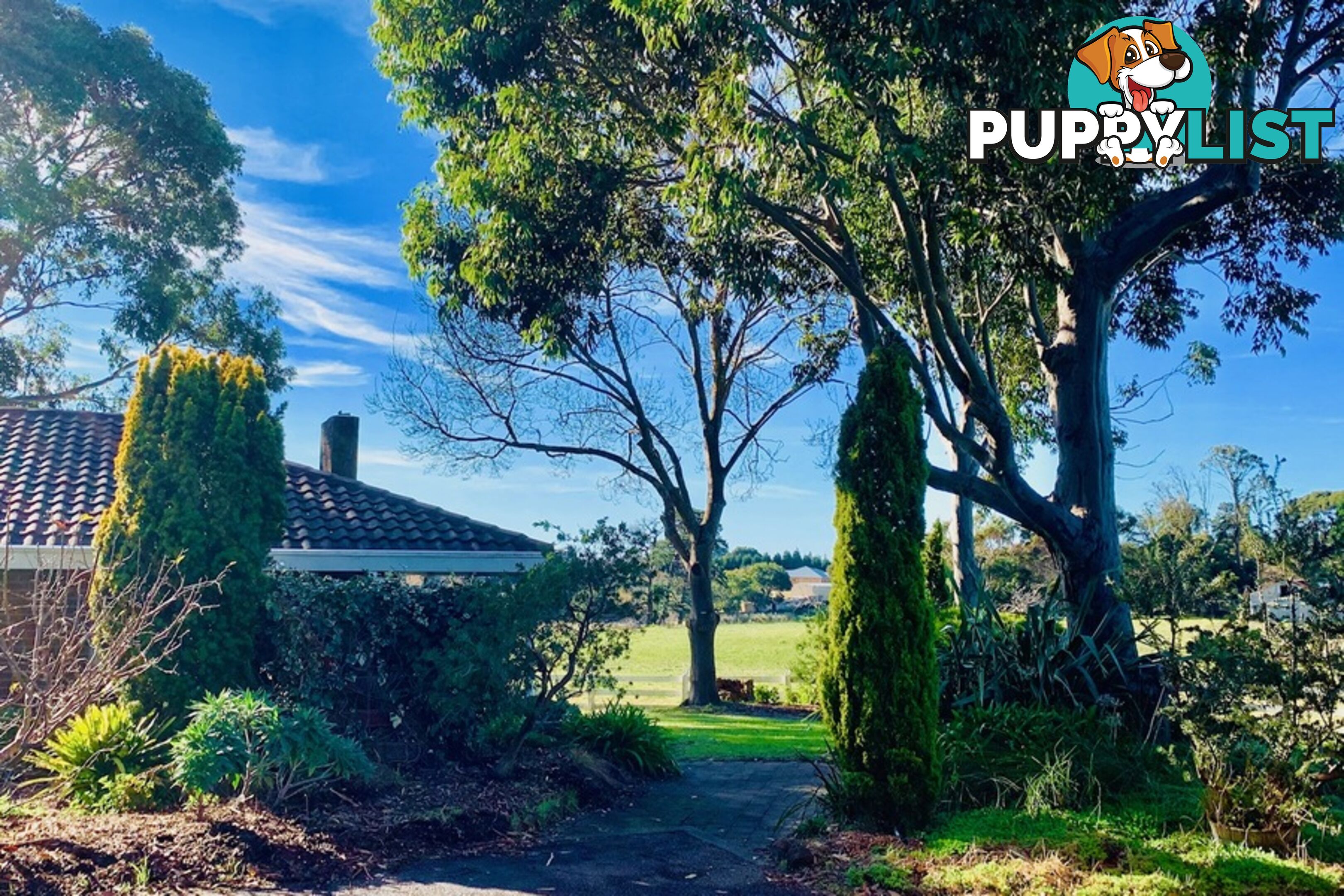 64-68 Trangmar Street Portland VIC 3305