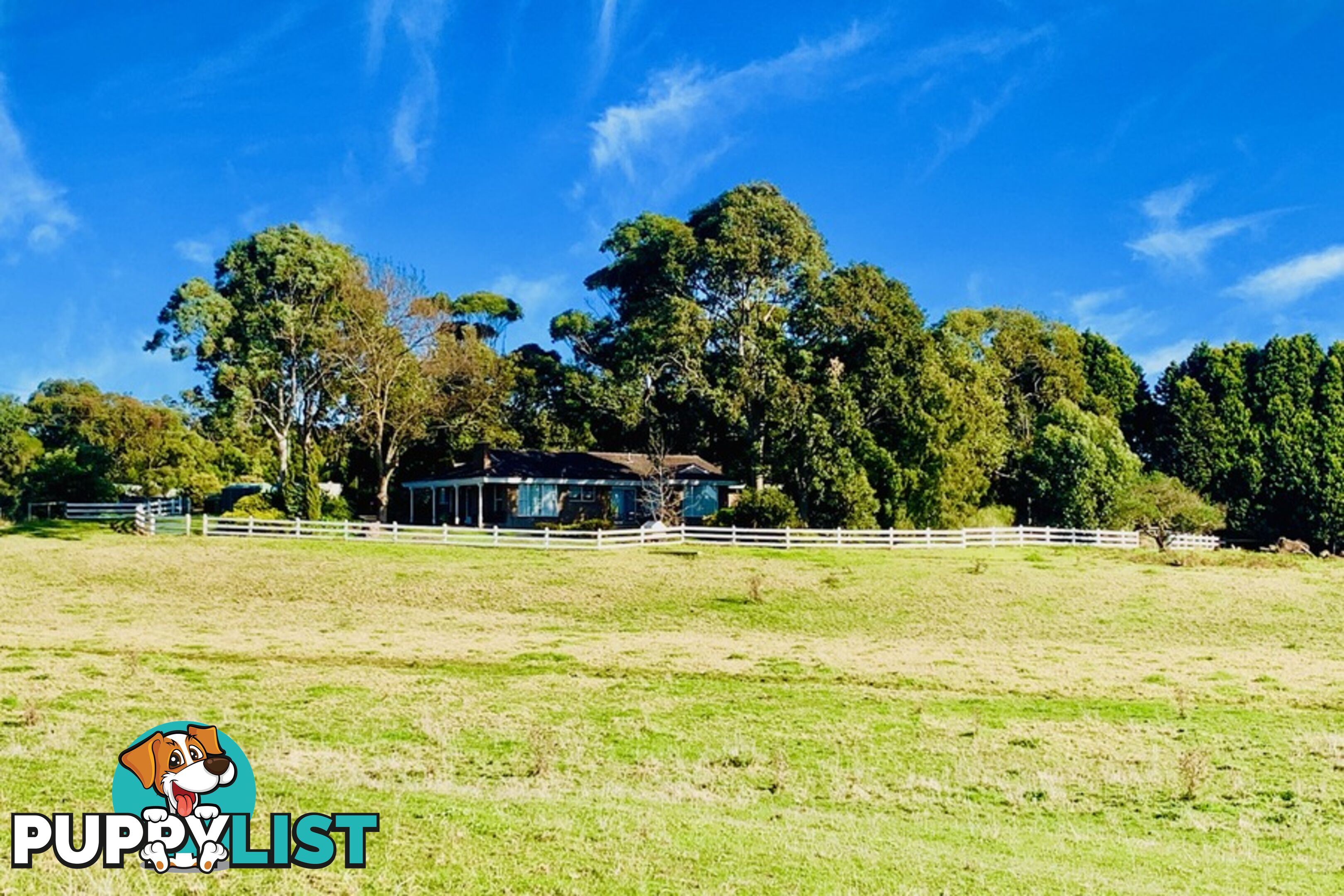 64-68 Trangmar Street Portland VIC 3305