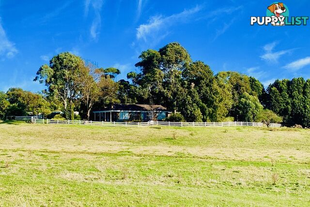 64-68 Trangmar Street Portland VIC 3305