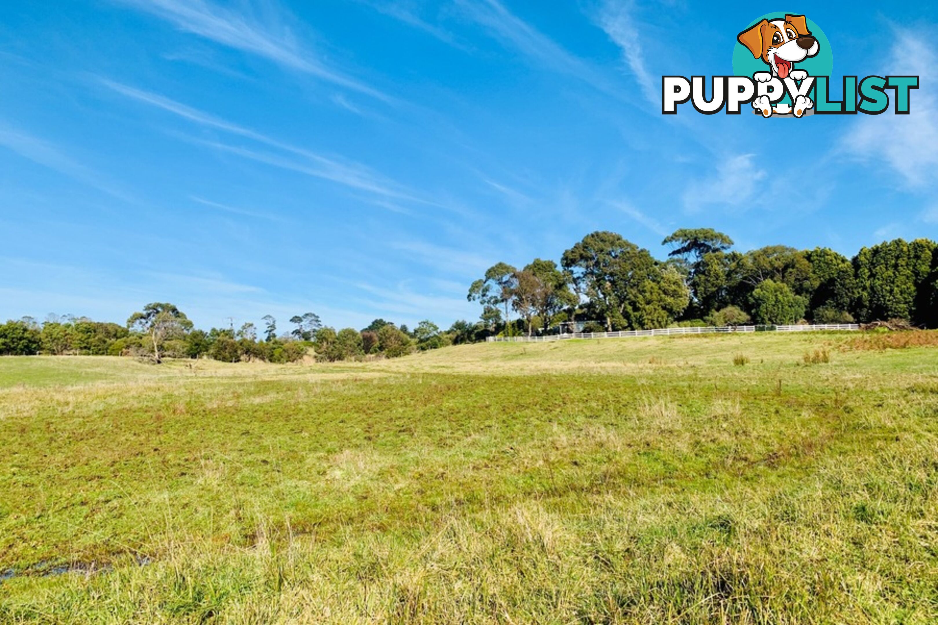 64-68 Trangmar Street Portland VIC 3305