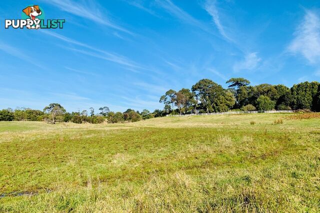 64-68 Trangmar Street Portland VIC 3305