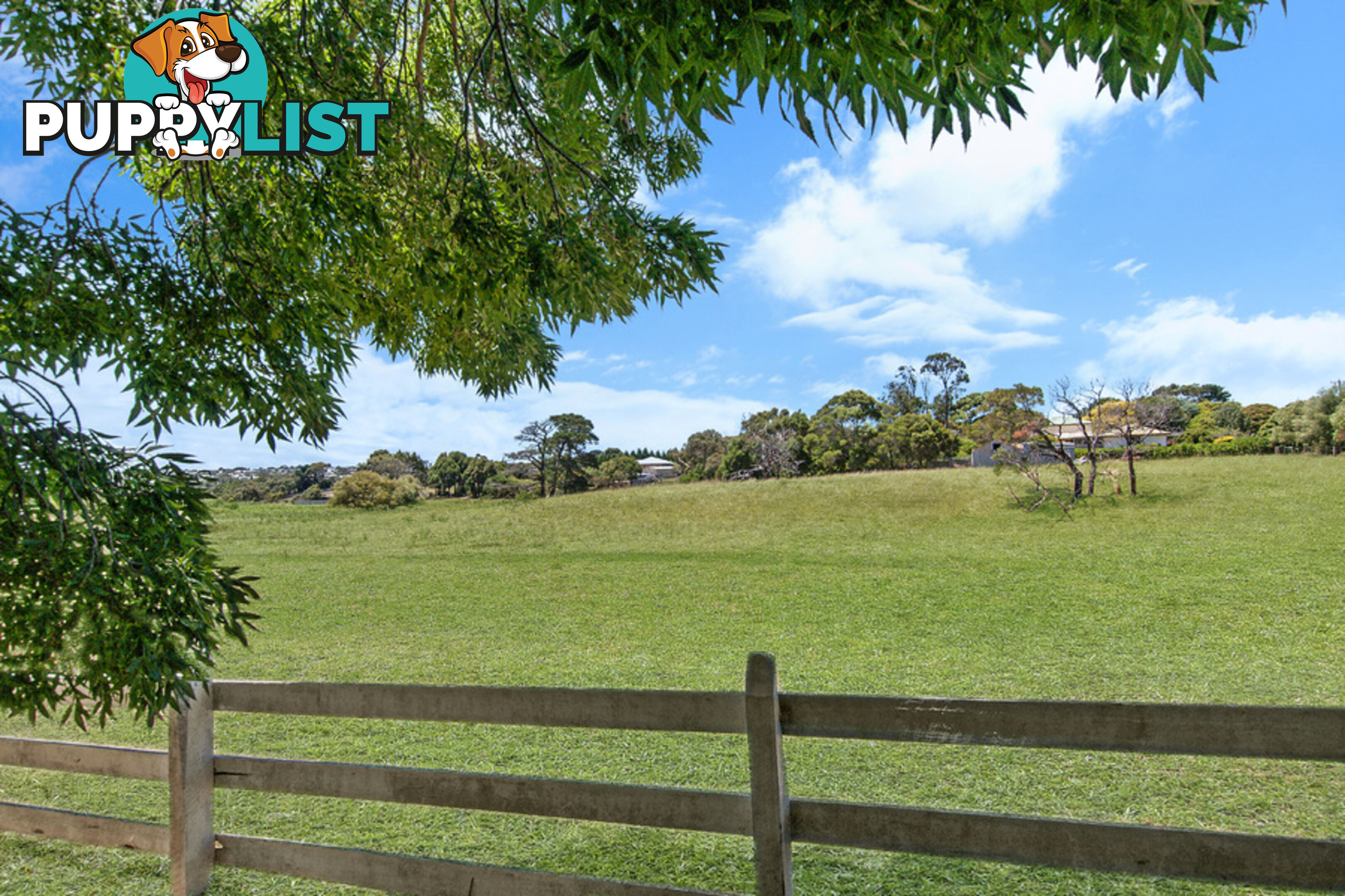 64-68 Trangmar Street Portland VIC 3305