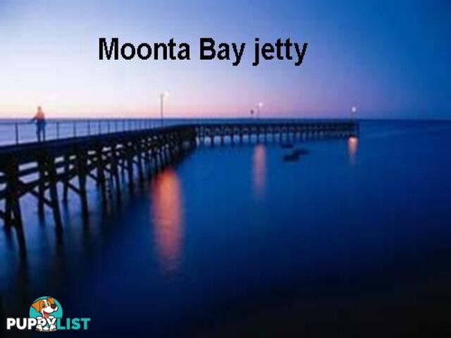 Lot 8 Hazel Street MOONTA BAY SA 5558