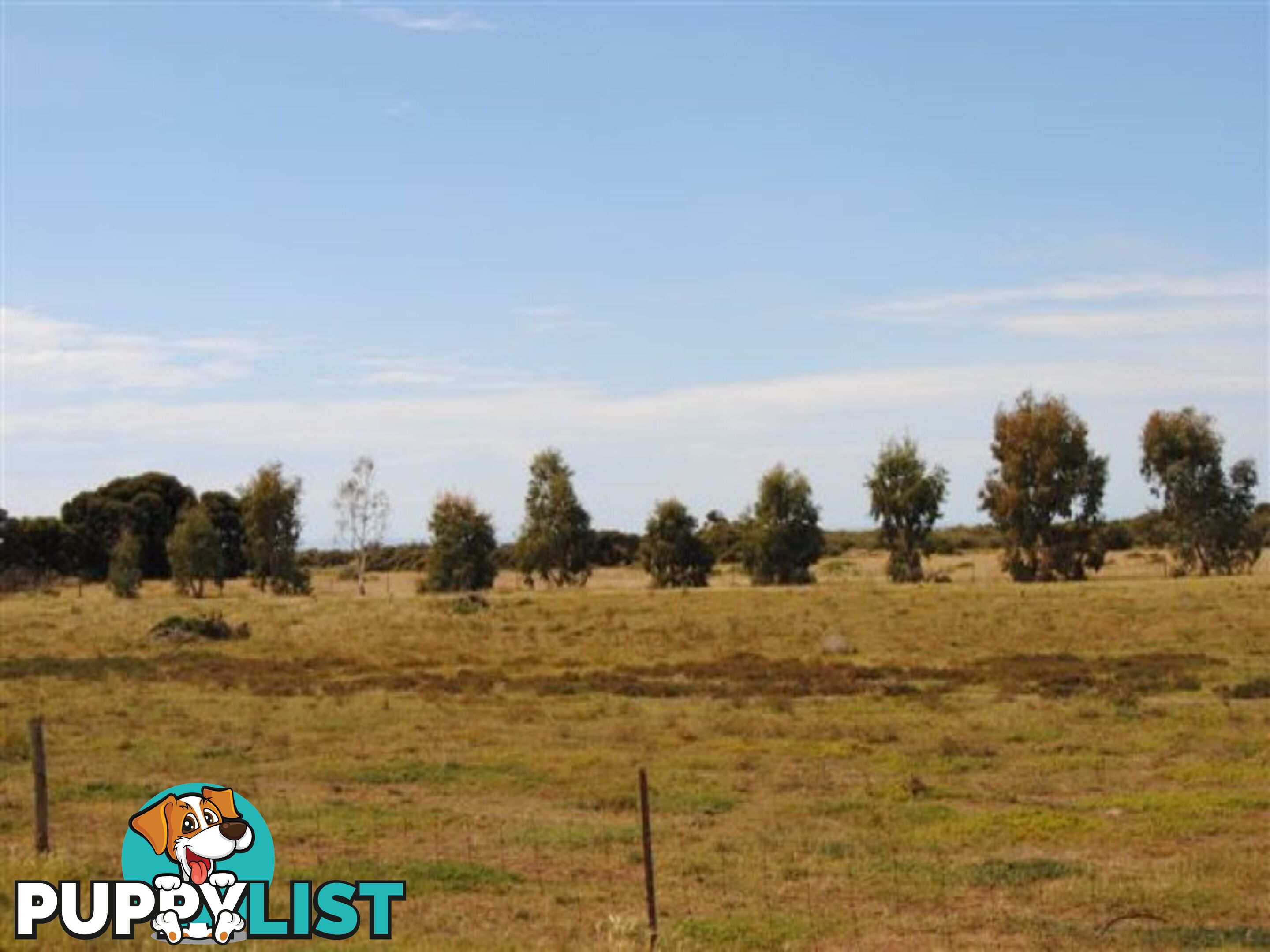 Lot 100 Public Road CLINTON SA 5570