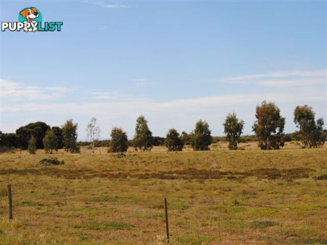 Lot 100 Public Road CLINTON SA 5570