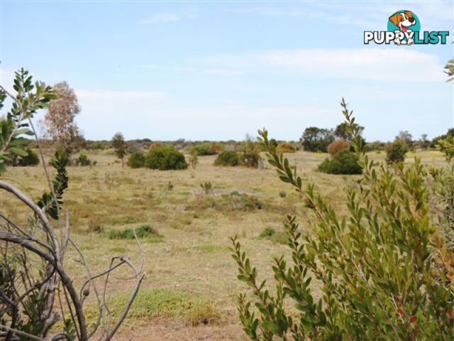 Lot 100 Public Road CLINTON SA 5570