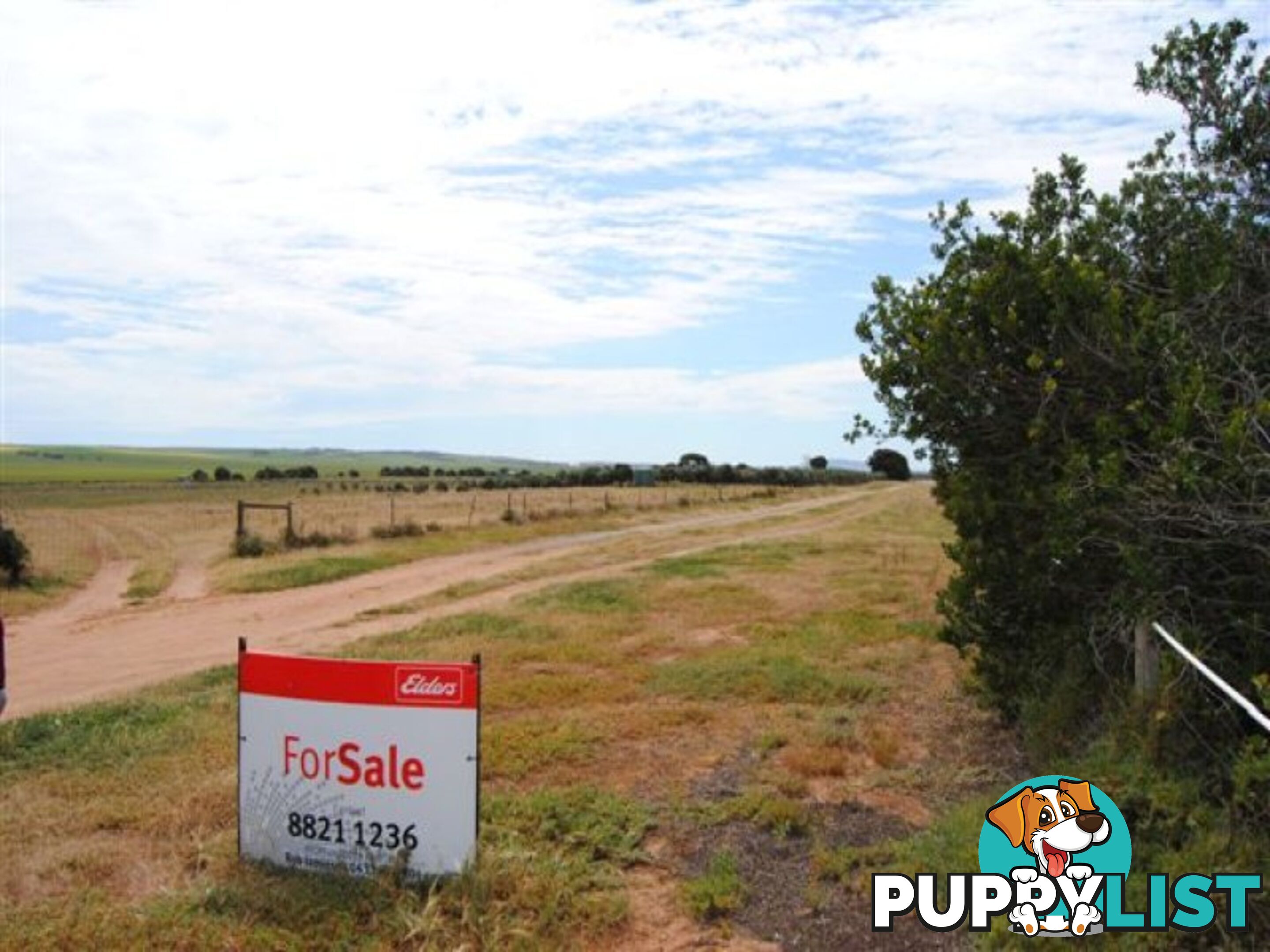 Lot 100 Public Road CLINTON SA 5570