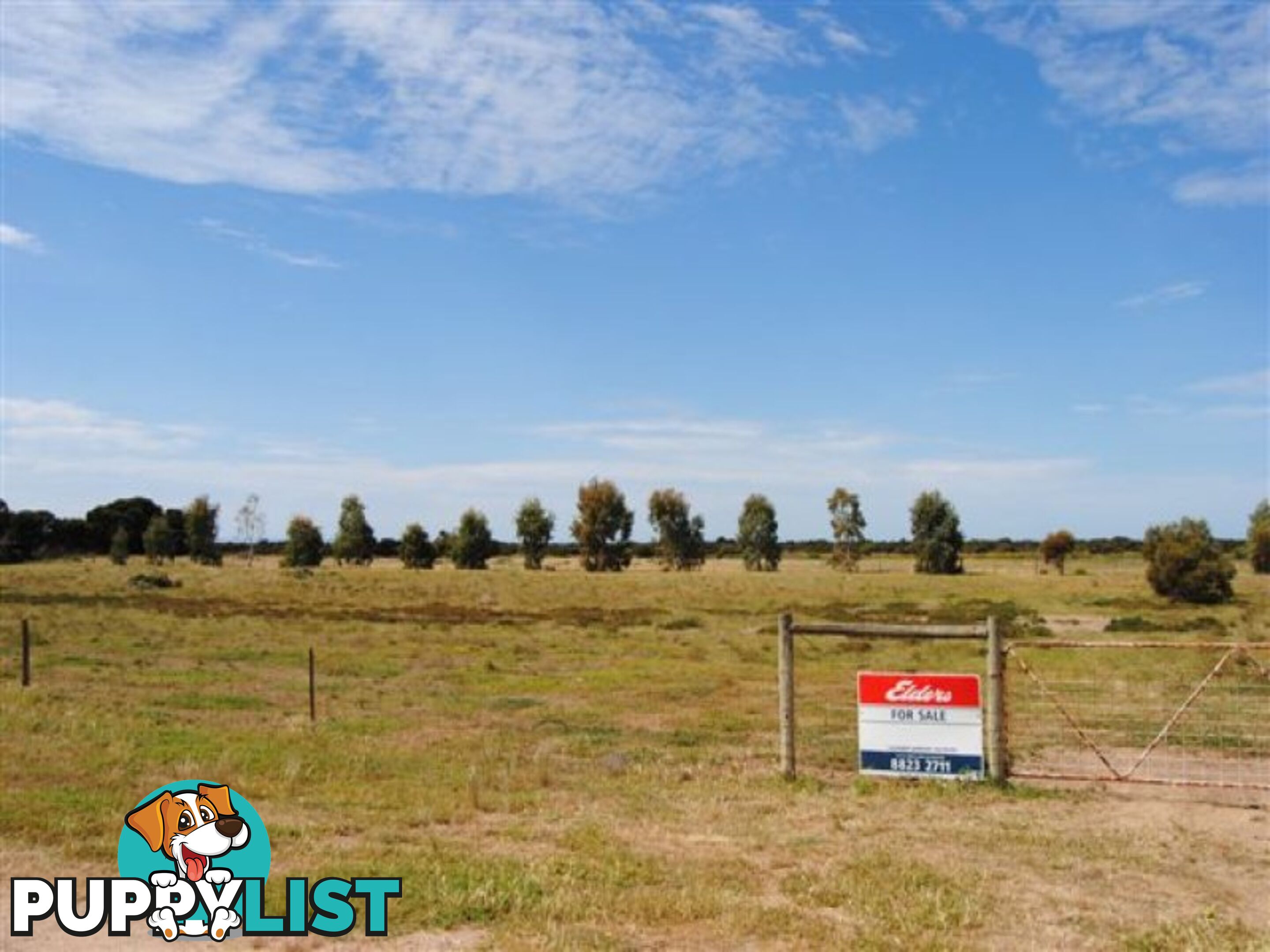 Lot 100 Public Road CLINTON SA 5570