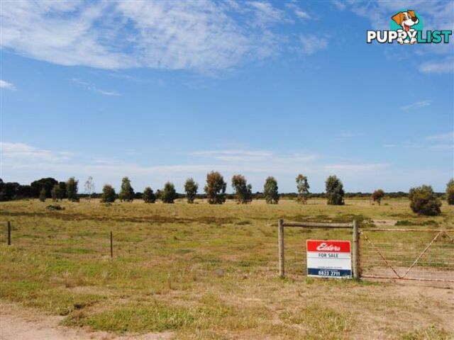 Lot 100 Public Road CLINTON SA 5570