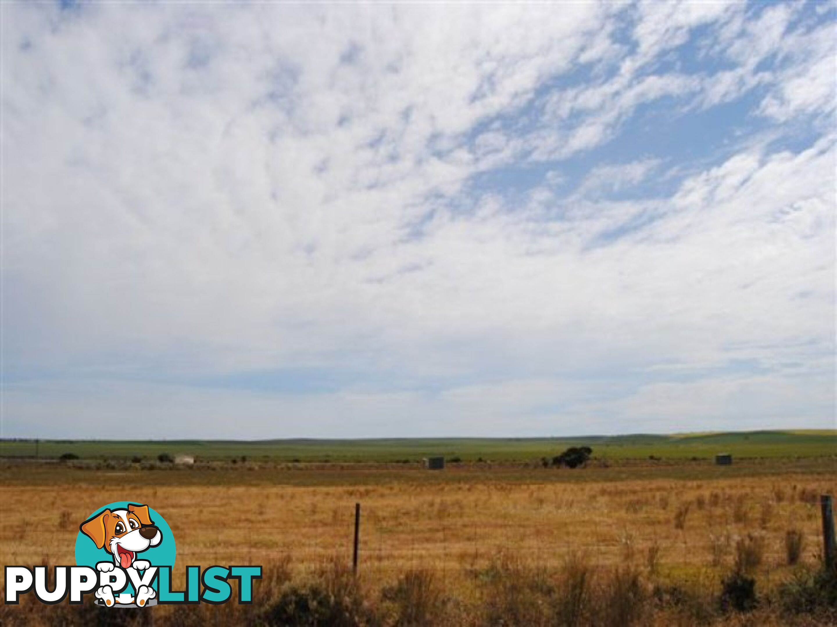 Lot 100 Public Road CLINTON SA 5570