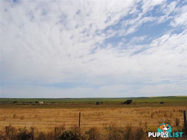 Lot 100 Public Road CLINTON SA 5570