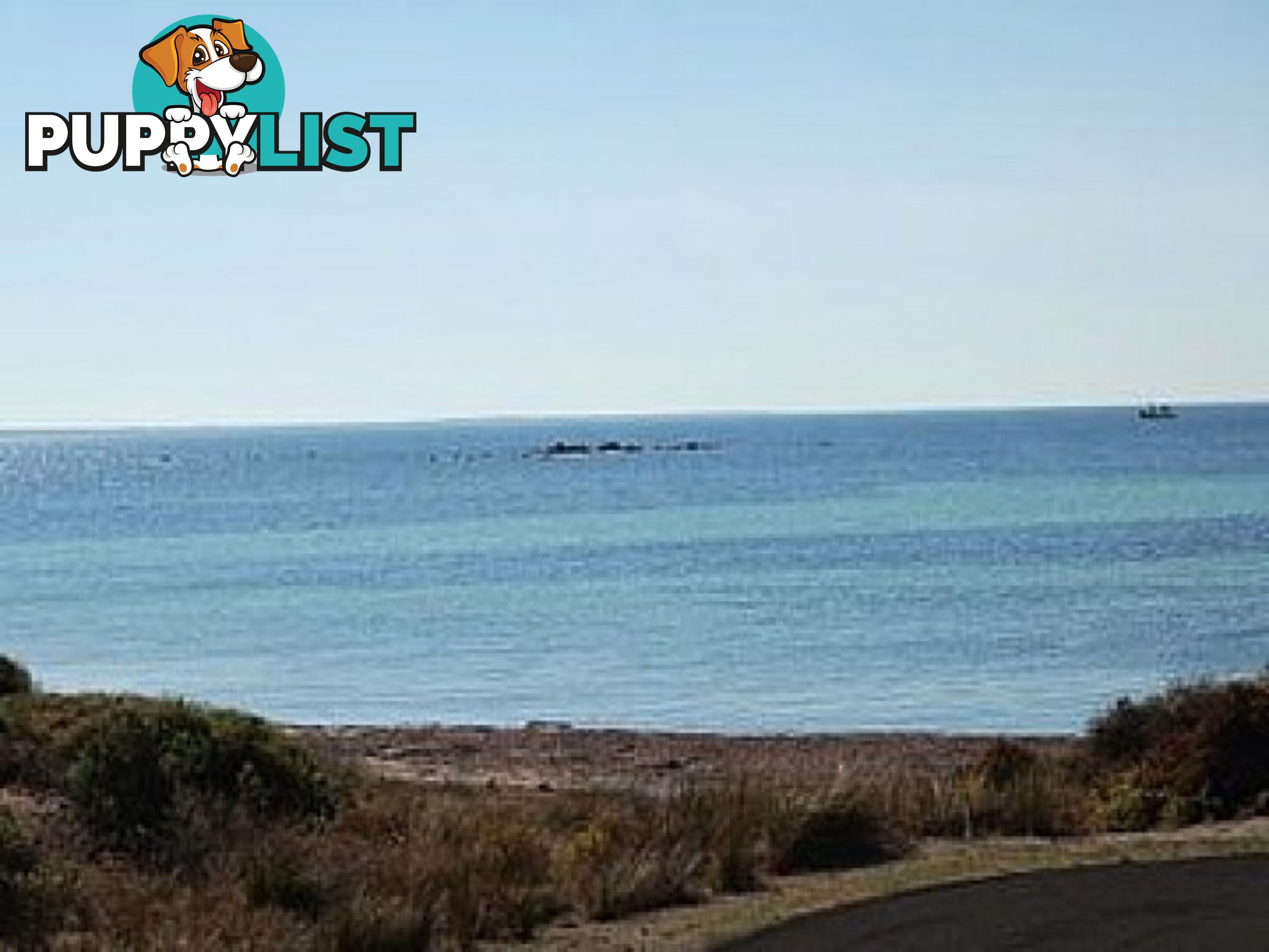 Lot 2 Second Beach Road PORT VICTORIA SA 5573