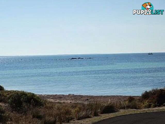 Lot 2 Second Beach Road PORT VICTORIA SA 5573