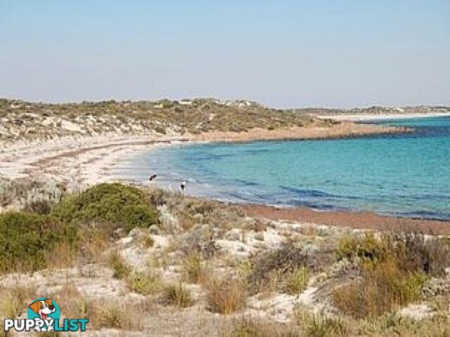 Lot 2 Second Beach Road PORT VICTORIA SA 5573