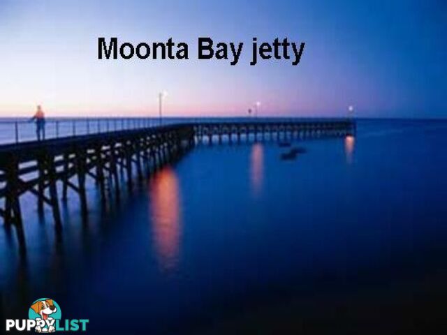 Lot 211 Trembath Road MOONTA BAY SA 5558